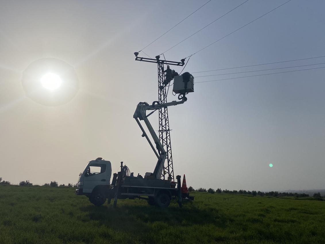 Doğa Derneği İzolasyonda Sınırları Aştı: 5 Bin Direk Güvende