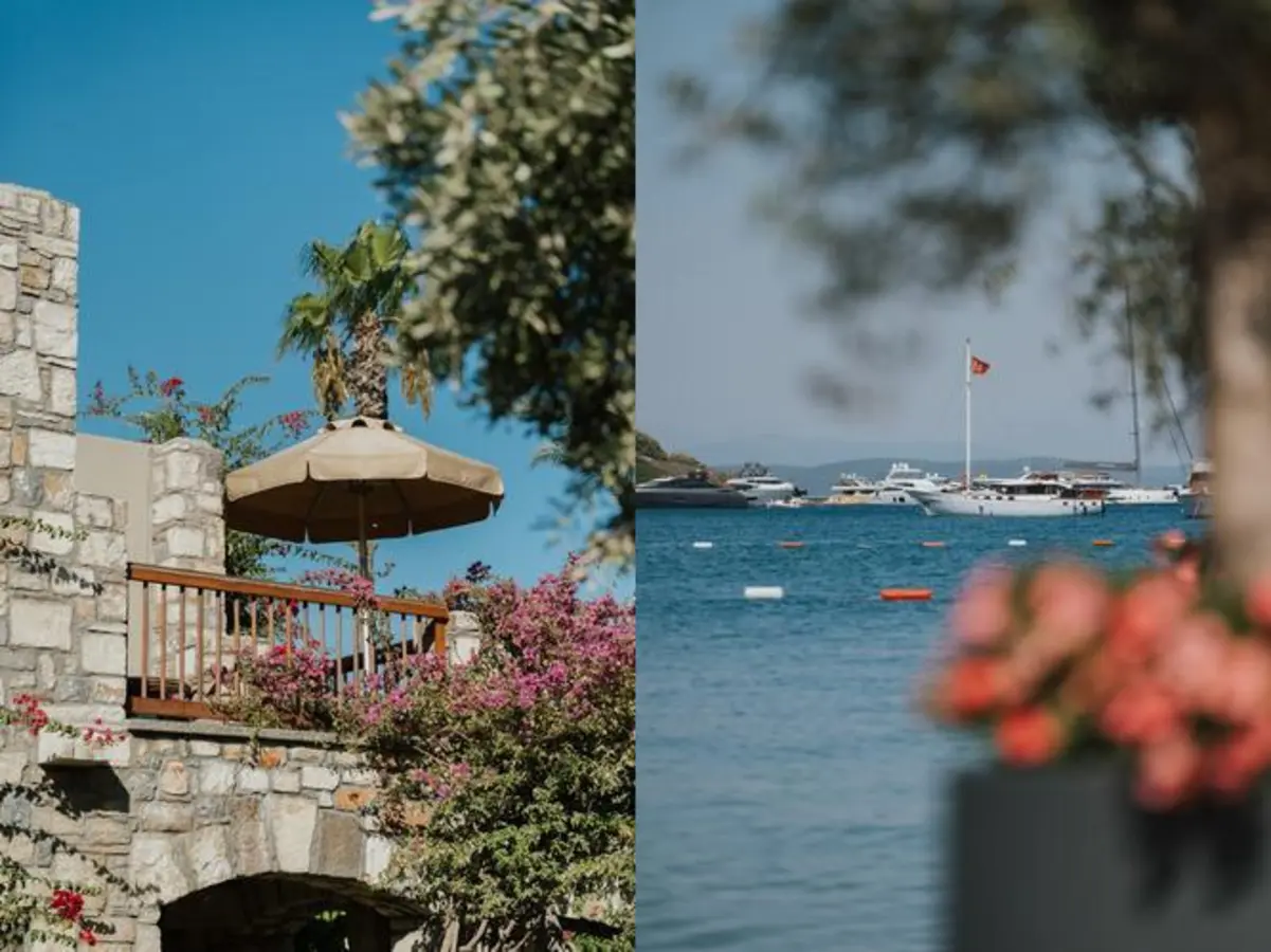 Divan, Geleceğe Işık Tutan 70 Yıllık Miras