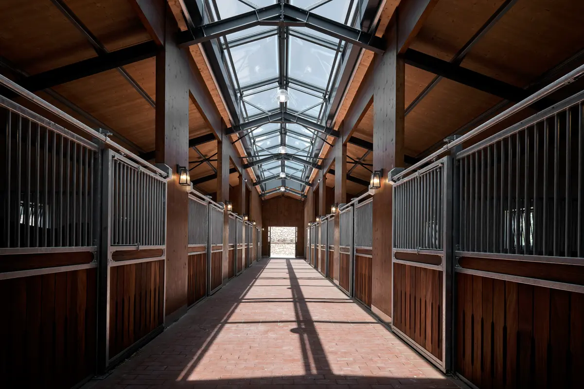 Hara Seher: Atlar İçin Mimari Dönüşüm