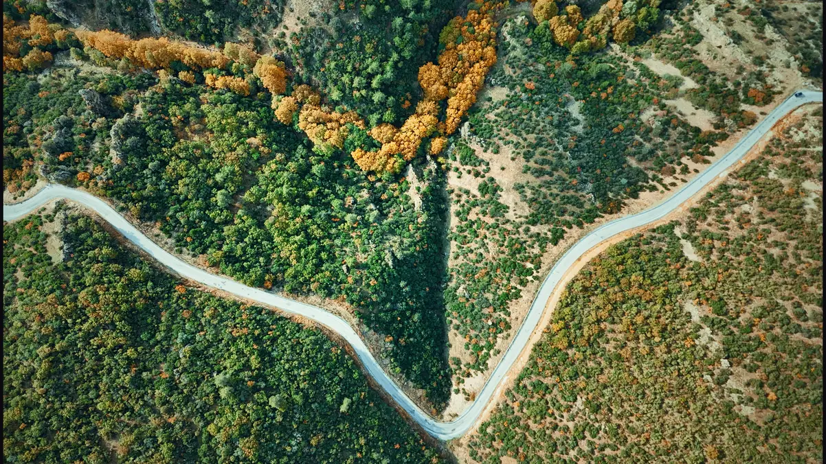 2B Arazisi Nedir? Hak Sahipliği ve Tapu Rehberi